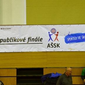 Republikové finále - stolní tenis - Vlašim - 21.- 22.11.2017
